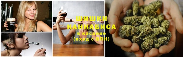 соль ск Дмитриев