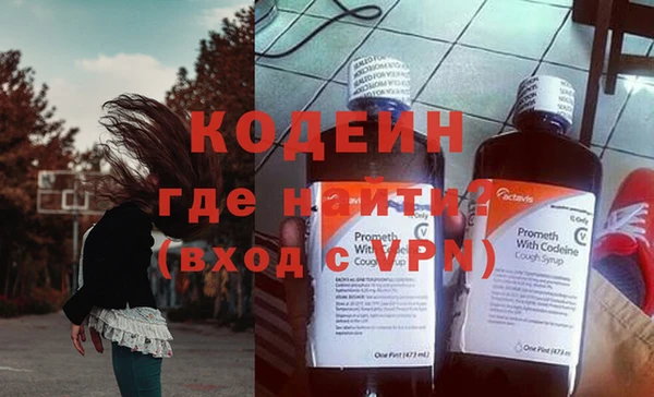 соль ск Дмитриев