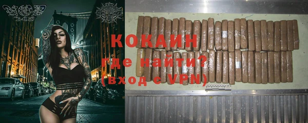 соль ск Дмитриев