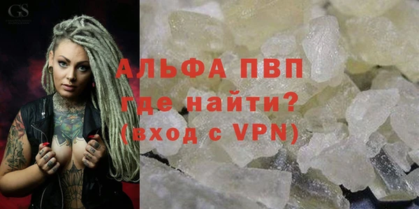 соль ск Дмитриев
