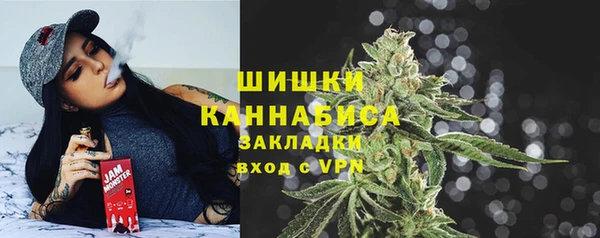 соль ск Дмитриев