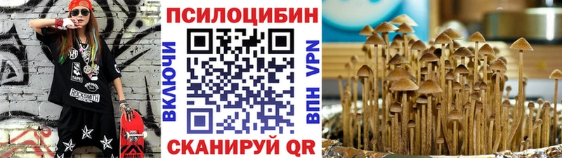 Псилоцибиновые грибы прущие грибы  Невель 